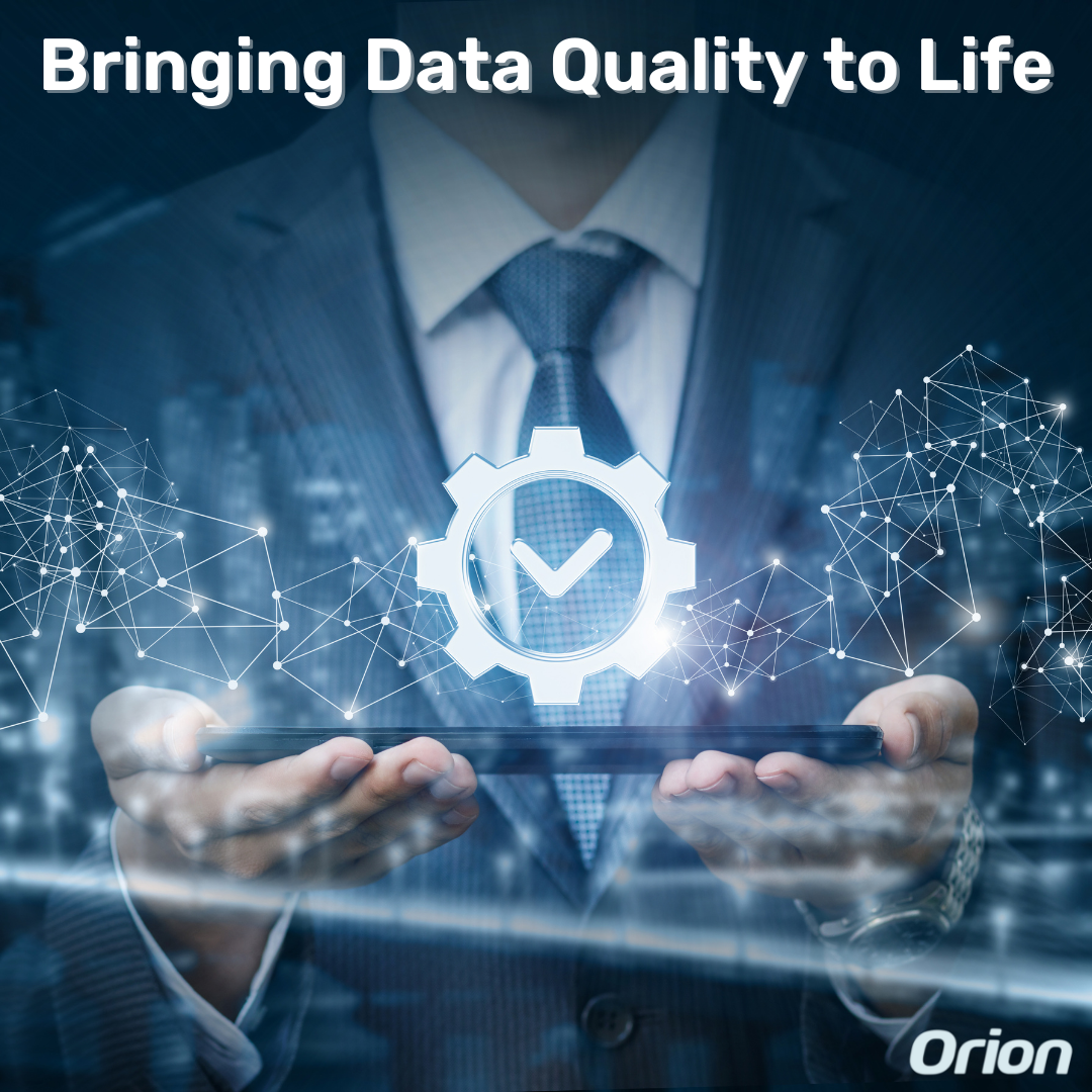 Bringing Data Quality to Life